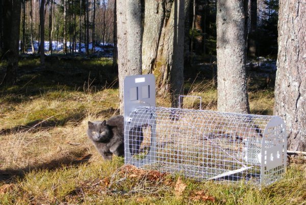 H�r skulle det ha varit en bild men n�got gick snett