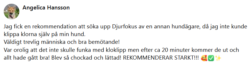 Här skulle det ha synts en recension men något gick snett