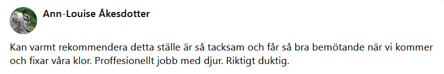 Här skulle det ha synts en recension men något gick snett