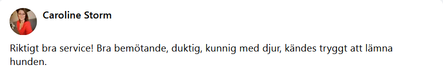 Här skulle det ha synts en recension men något gick snett