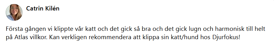 Här skulle det ha synts en recension men något gick snett