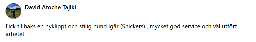 Här skulle det ha synts en recension men något gick snett