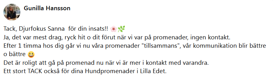 Här skulle det ha synts en recension men något gick snett