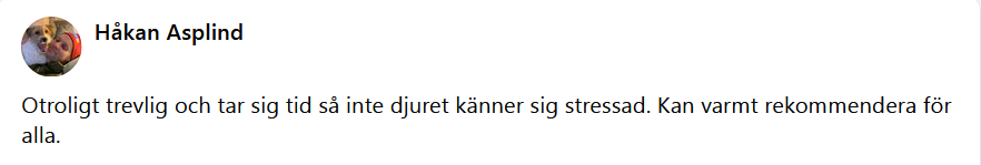 Här skulle det ha synts en recension men något gick snett