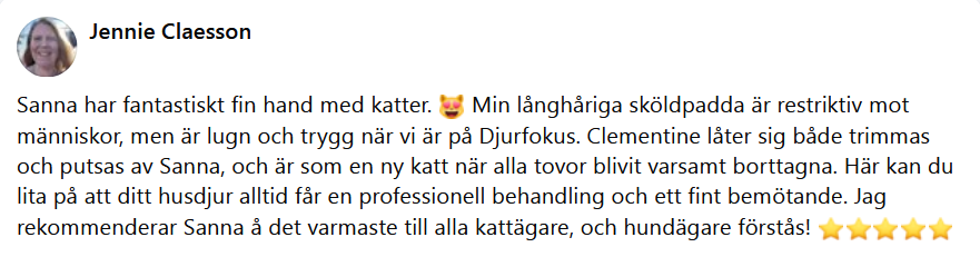 Här skulle det ha synts en recension men något gick snett