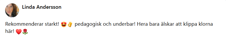 Här skulle det ha synts en recension men något gick snett
