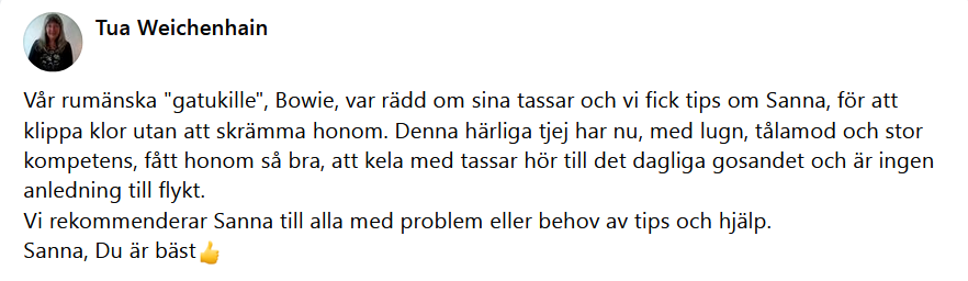 Här skulle det ha synts en recension men något gick snett