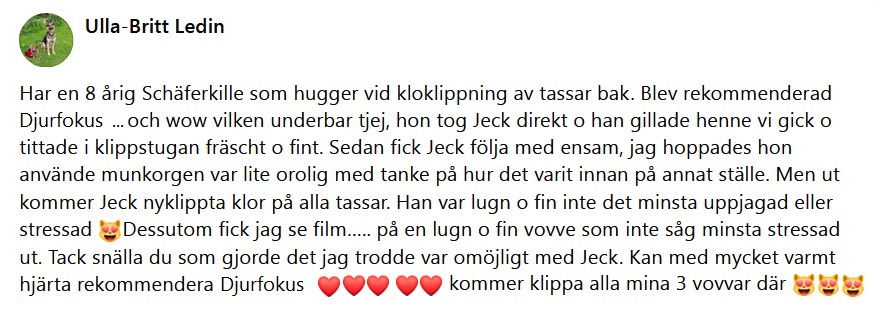 Här skulle det ha synts en recension men något gick snett