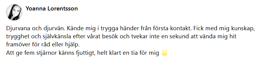 Här skulle det ha synts en recension men något gick snett